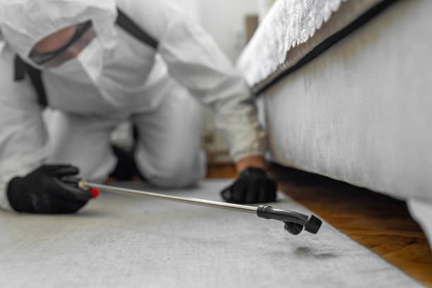 Professional Termite Control technician working in Elmer, NJ